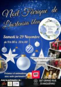 photo Le noël féerique de l’hortensia bleu