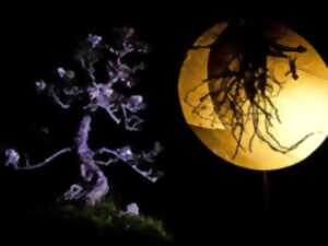 photo Spectacle - L’Arbre
