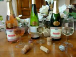 photo Vins en Fêtes