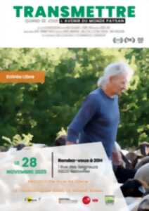 photo Projection du film 