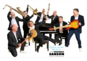 photo Concert - Chansons pour une drôle de vie, hommage à Véronique Sanson