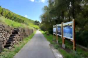 photo Promenades photographiques du Rangen – Édition Amateurs 2025-2026