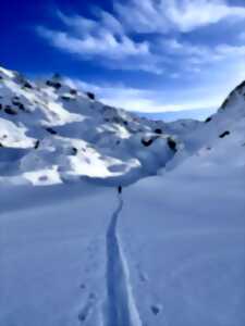 photo Projection POW : « La voix des glaciers »