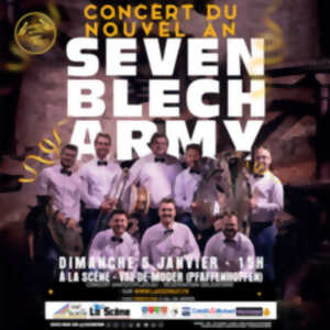 photo Concert du Nouvel An avec Seven Blech Army