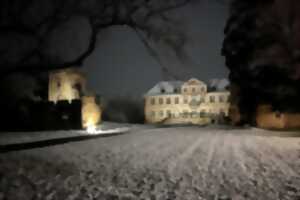 photo Marché de Noël au château de Niedernai