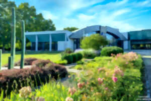 photo LA FOLLE HISTOIRE DU COUPLE