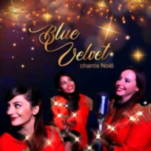 photo Trio Blue Velvet