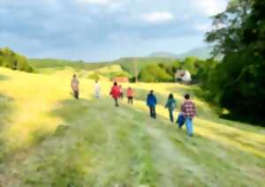 photo Mélodies d'air et d'eau