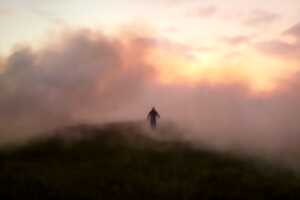 photo AVANT PREMIERE : REEDLAND