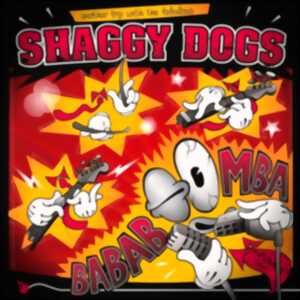 photo SHAGGY DOGS