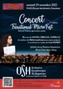 photo Concert Trinational MicroFest