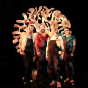 photo Mes petites graines