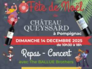 photo Fête de Noël au Château Queyssard