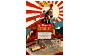 photo Courses Hippodrome de Pau - La magie du cirque