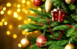 photo Quinzaine commerciale de Noël : Balades en calèche