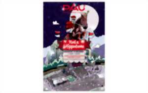 photo Courses Hippodrome de Pau - La magie de Noël