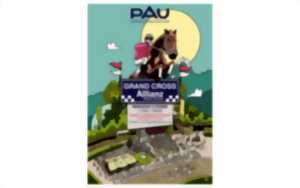 photo Courses Hippodrome de Pau - Grand Cross Allianz