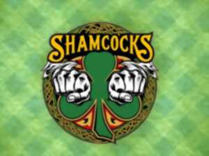 photo Green Noise Party - The Rap'Tout