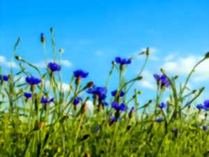 photo Exposition photographique 