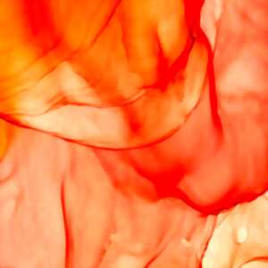 photo Exposition collective au Tympan