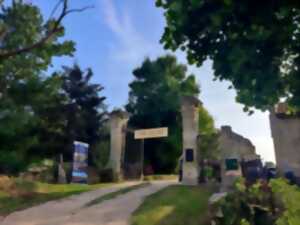 photo Soirée mascaret