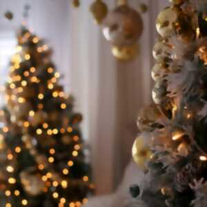 photo Expo-vente de Noël - Poterie