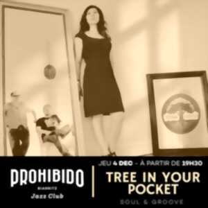 photo Prohibido Biarritz Jazz Club - Tree In Your Pocket