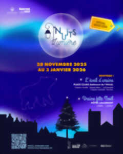 photo Les Nuits Lumière d'Hiver