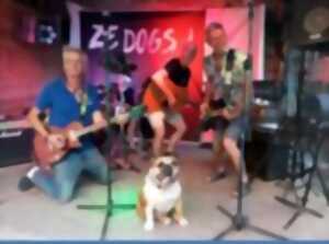 Concert - Ze Dogs
