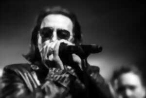 Concert - Johnny Hallyday, Rock'n'Roll Show