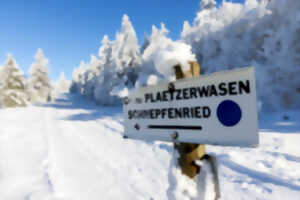 Sortie dominicale au Platzerwasel