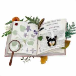 photo Atelier créatif Dessinez votre carte postale avec Alice Fauconnier