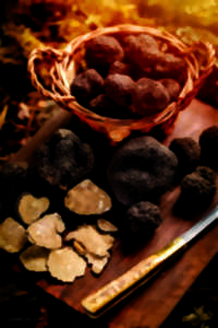 Marché aux truffes et au safran 2025 à Amboise