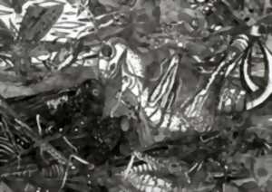 photo TRENTE ANS DE GRAVURES