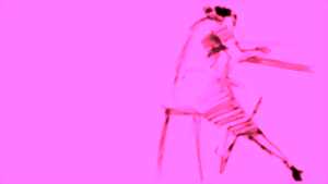 photo ARCHI-FEMMES. L’Architecture féminine en Roumanie au XX¿ siècle