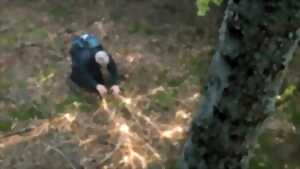 photo Soirée Ciné-Echanges - Le monde extraordinaire des champignons