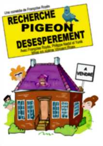 Recherche pigeon désespérément
