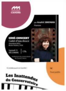 photo Ciné-concert : Cadet d'eau douce