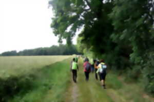 Randonnée pédestre à Gièvres