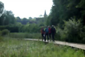 Randonnée pédestre à Villefranche-sur-Cher