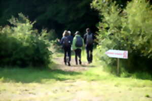 photo Randonnée pédestre des Mées à la Chaussée Saint Victor