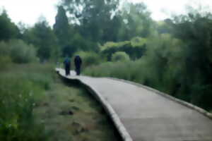 Randonnée pédestre à Châtillon-sur-Cher