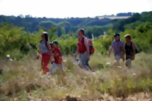 photo Randonnée pédestre - La Marche des Rois à Blois