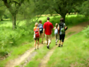 Randonnée pédestre à Châteauvieux