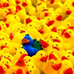 photo Téléthon 2025 : Course de canards sur la Dordogne