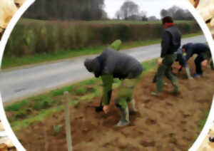 photo Chantier participatif à la  plantation d'une haie