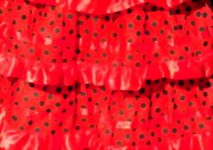 photo Les papotages de l’Office