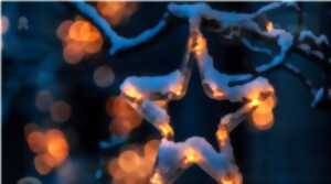 photo Illuminations de Noël