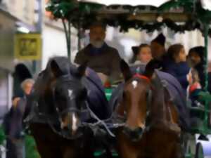 photo Les balades en calèche