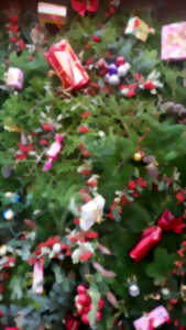 photo Noël au Domaine d'Homs